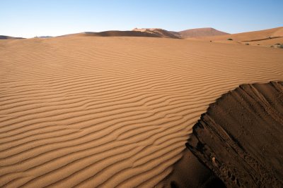 Neighbourhood Dead Vlei