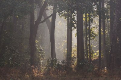 Achanakmar Biosphere Reserve