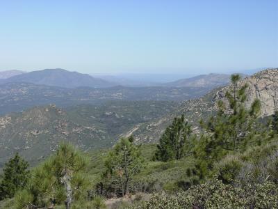 One more of pan view !!!!