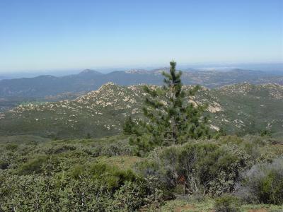 More on the pan view !!!