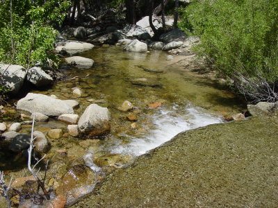 Cool clear water of Holcomb Creek !!!!