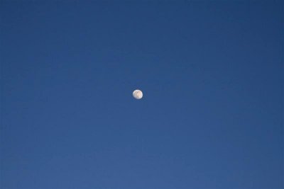 Clear sky's and almost full moon made for even cold cold colder night !!!