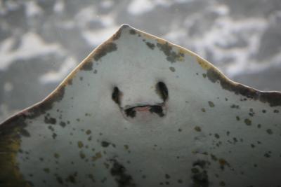 Smile please