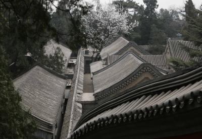Rooftops in the Summer Palace