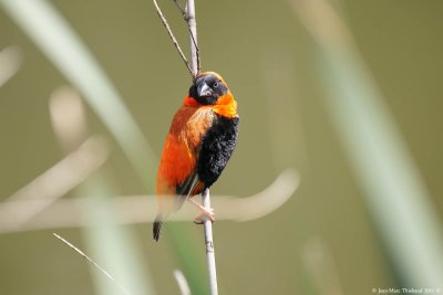 Milwane Nature Reserve