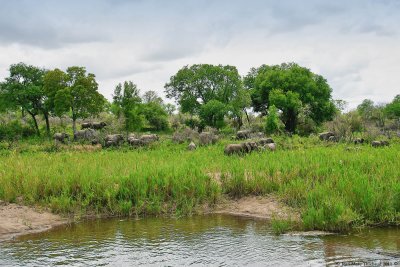 Parc Kruger