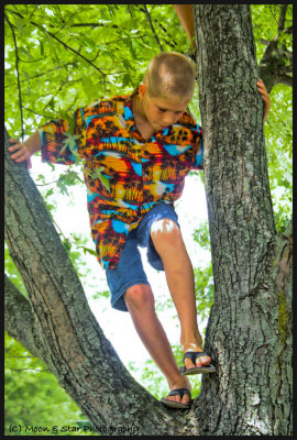 Tree climbing in flip flops