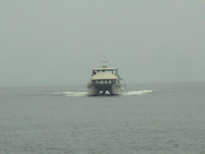 IMGP5404-wr.JPG