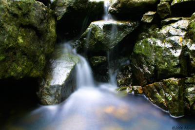 waterfall in Eungella NP