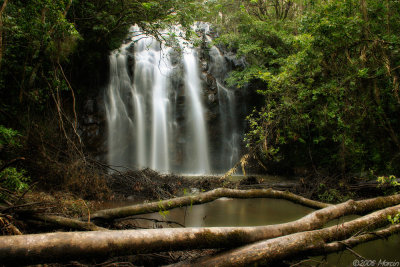 waterfall in Atherton Tablelands