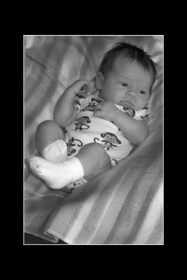 Alivia 12x18 1000.jpg
