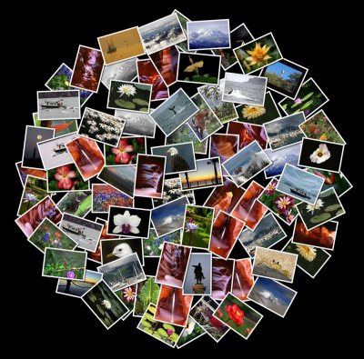 Miscellaneous Collage Circle.jpg