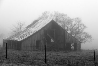 IMG_0908 fix800bw.jpg