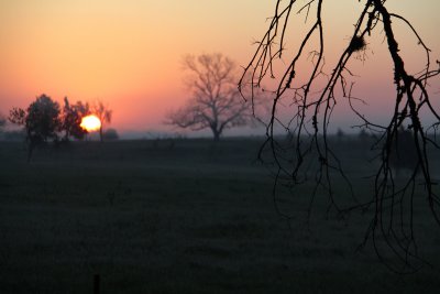 IMG_1120fix800.jpg