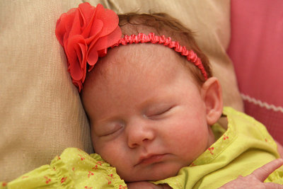 IMG_1978fix800.jpg