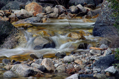 Colorado Stream 0779fix.jpg