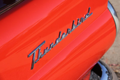 Thunderbird9235.jpg