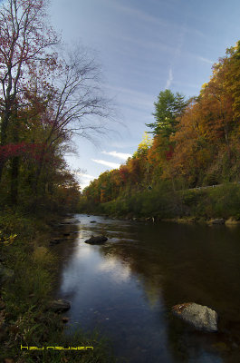 DSC_4707.jpg