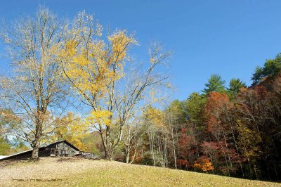 DSC_8695.jpg