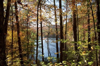 DSC_8730.jpg