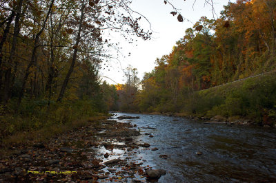 DSC_8760.jpg