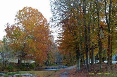 DSC_8772.jpg