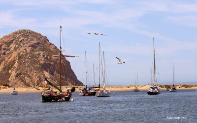 Morro Bay.jpg