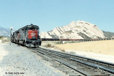 g4/42/800042/3/136812226.N9GTzFRQ.jpg