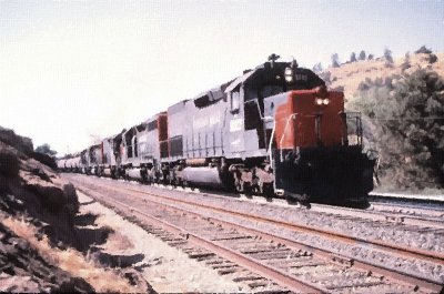 g4/42/800042/3/137931846.173bhTO1.jpg
