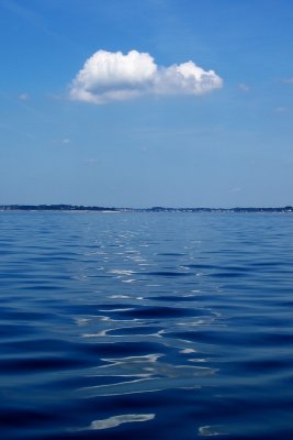 Bleu 5