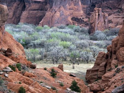 Canyon de Chelly 1