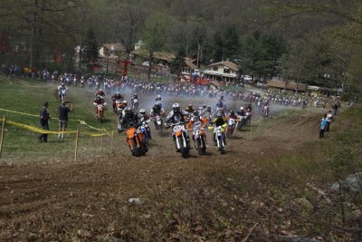 _MG_0386.jpg