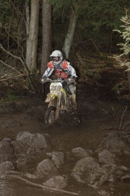 _MG_1345.jpg