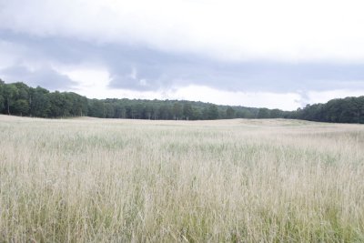 _MG_3844.jpg