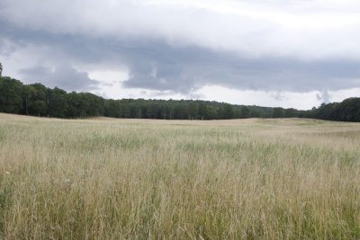 _MG_3845.jpg