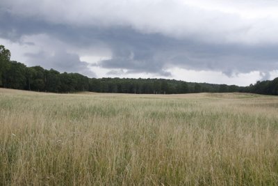 _MG_3846.jpg