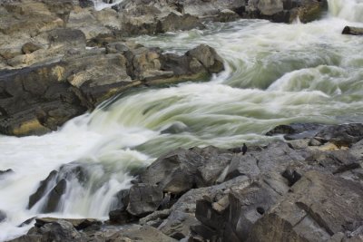 Falls w/Black Vulture