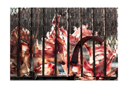 Meat drying