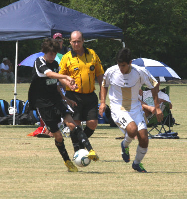 c.IMG_4801.jpg