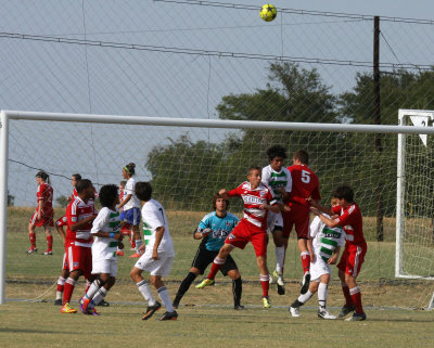 c.IMG_4905.jpg