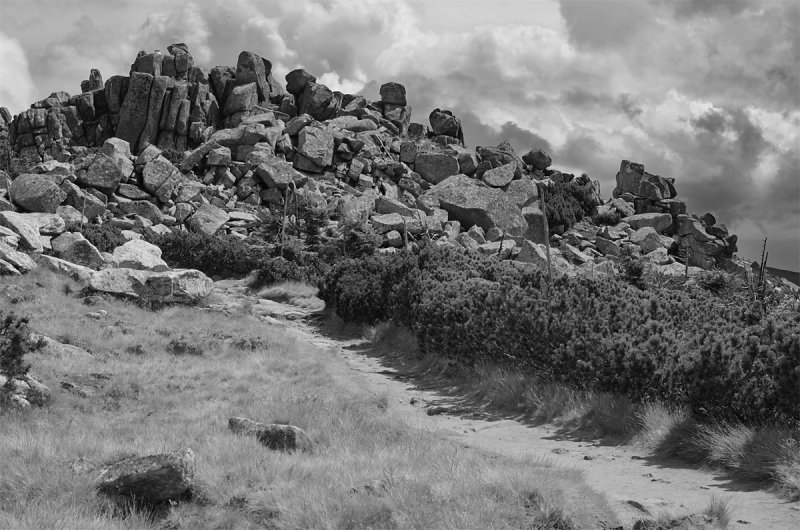 mannsteine