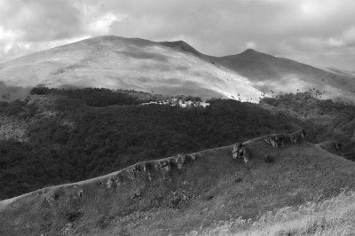Tarnica.jpg