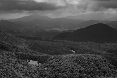 g4/42/927042/3/136921274.RtchVnZ8.jpg