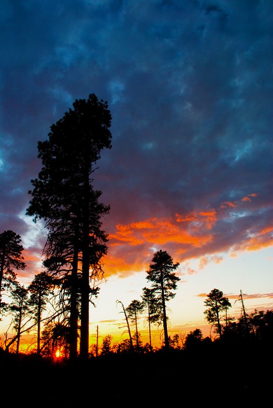 Sunset on Rainbow Plateau - Ponderosa Forest