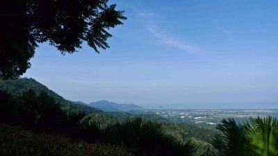 20110227_balikpulau_004E.jpg