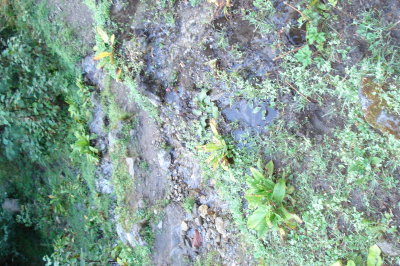 DSC03159.JPG