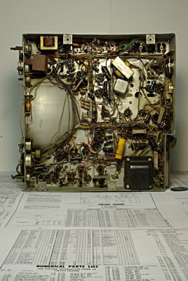IMGP9253+i.JPG