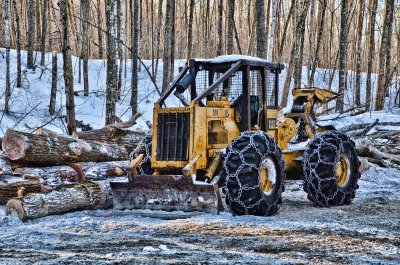 Yellow skidder