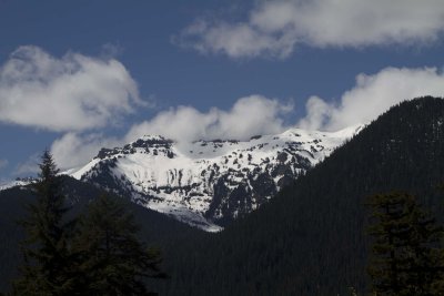 Rainier_0066.jpg