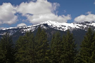 Rainier_0091.jpg